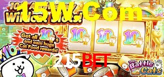 215bet App Interface